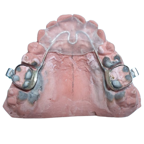 fija reposicionador austro